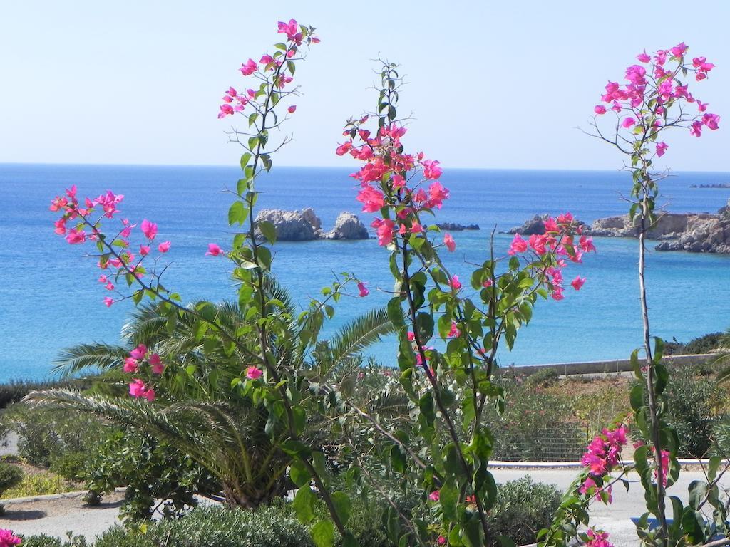 Ardani Bay Studios Amoopi Oda fotoğraf