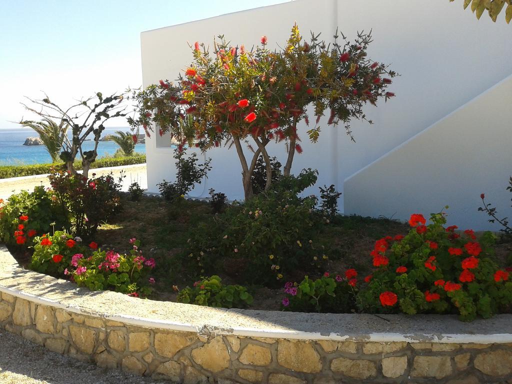 Ardani Bay Studios Amoopi Dış mekan fotoğraf